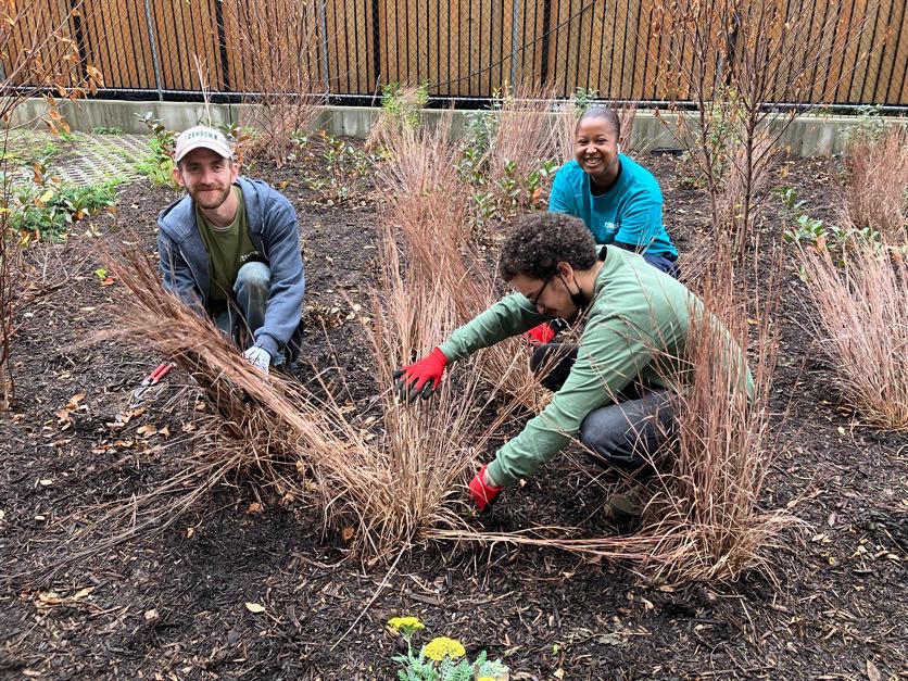 Joseph and Pauline Charatan Residence 2
